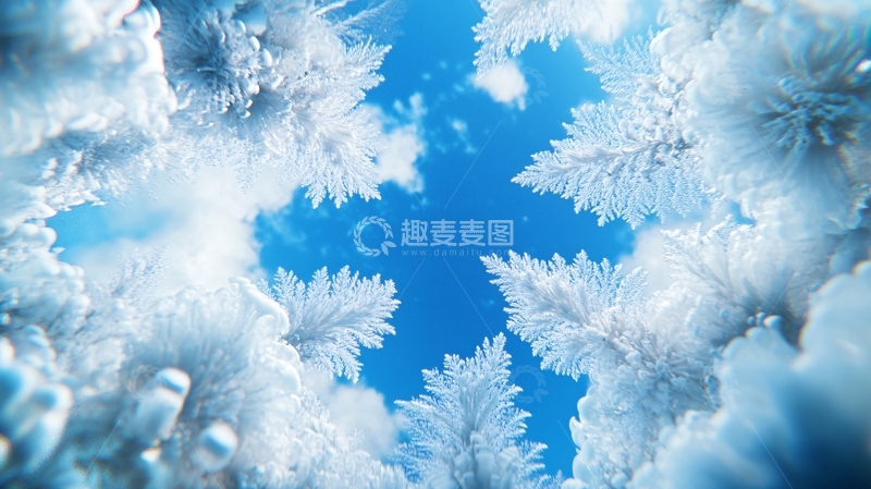 高清大图下载【趣麦麦图】霜花高清图