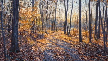 唯美秋景秋天小道4