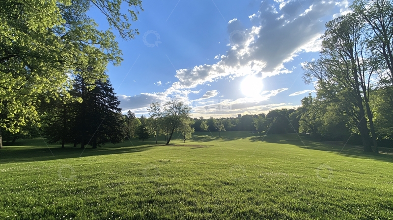 高清大图下载【趣麦麦图】-阳光树木大草坪1