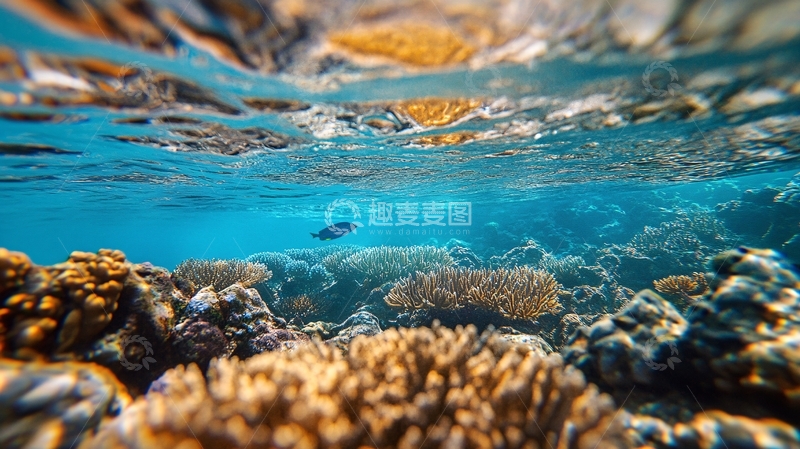 高清大图下载【趣麦麦图】大堡礁全景图