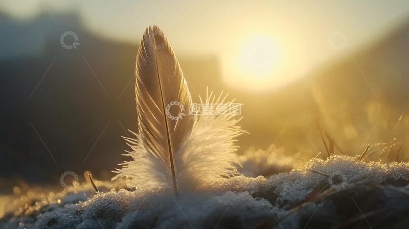 高清大图下载【趣麦麦图】冬天阳光冬季暖阳3