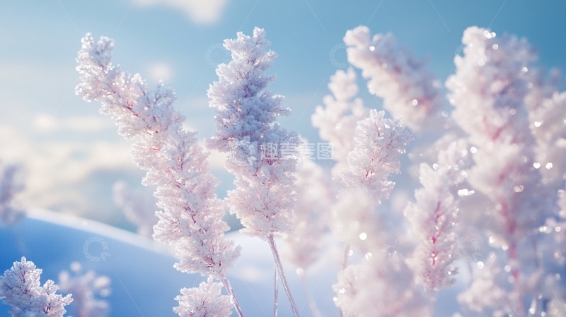 高清大图下载【趣麦麦图】蓝粉色梦幻