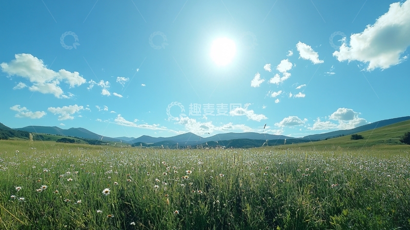 高清大图下载【趣麦麦图】草原之夏