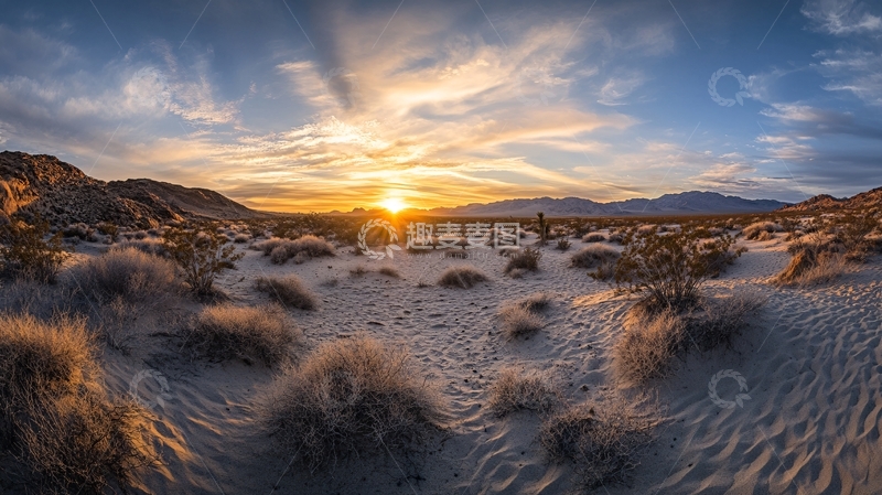 高清大图下载【趣麦麦图】莫哈韦保护区
