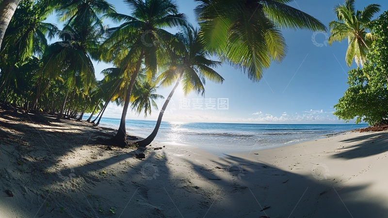 高清大图下载【趣麦麦图】椰林海滩图片素材下载6