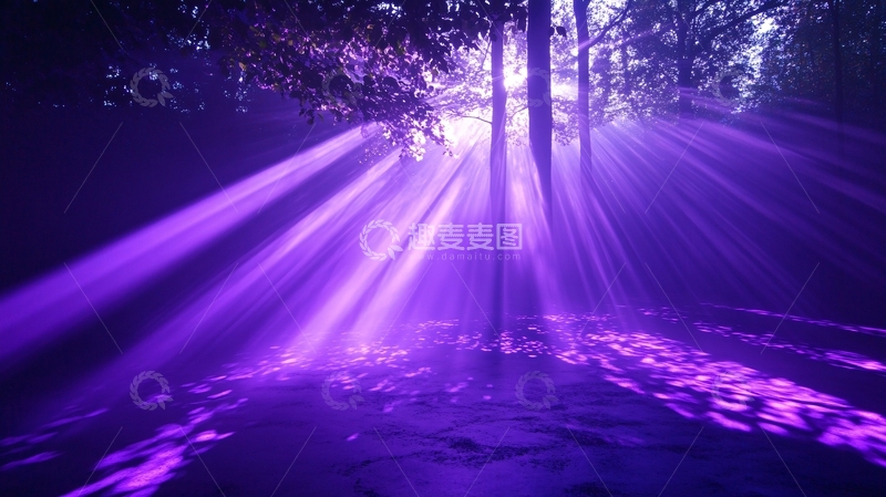 高清大图下载【趣麦麦图】雨林灯光效果