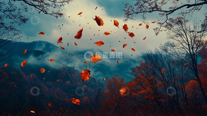 高清大图下载【趣麦麦图】红叶云烟