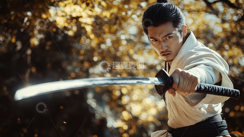 高清大图下载【趣麦麦图】执剑武士2