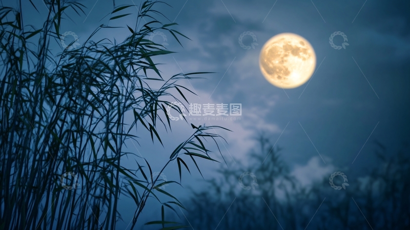 高清大图下载【趣麦麦图】竹林圆月1