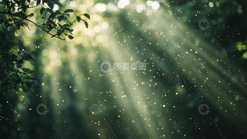 高清大图下载【趣麦麦图】林间一缕阳光1