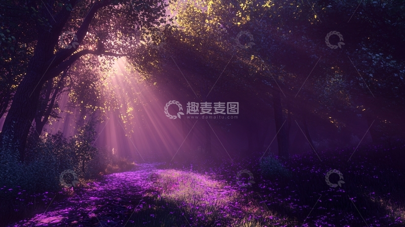 高清大图下载【趣麦麦图】林间一缕阳光2