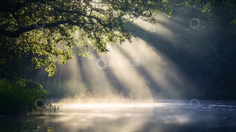 高清大图下载【趣麦麦图】清晨梦幻光影