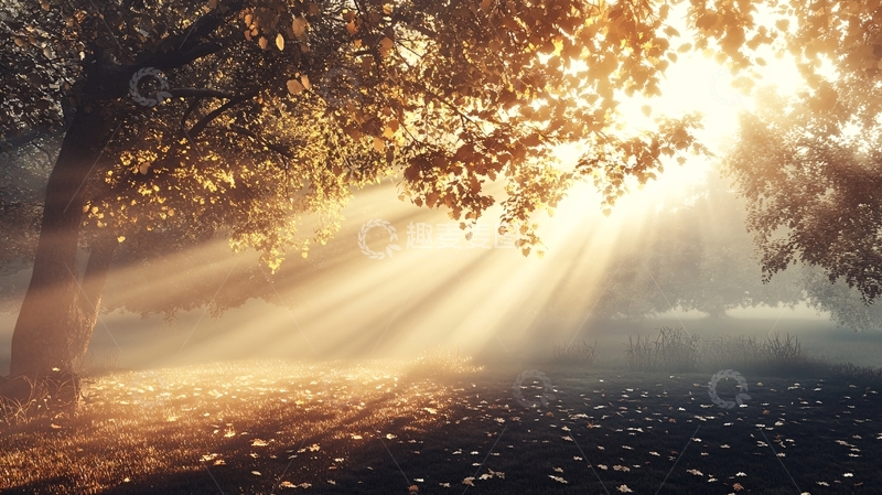 高清大图下载【趣麦麦图】清晨梦幻光影3