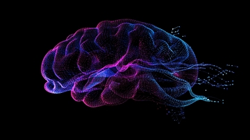 深度学习神经网络