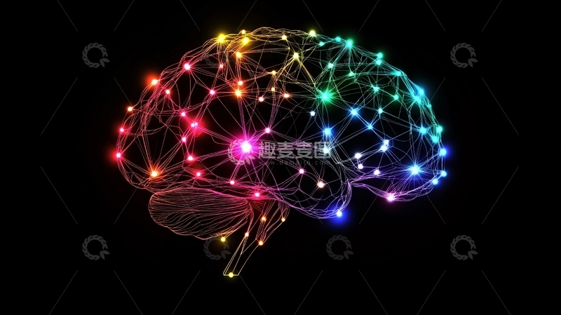 高清大图下载【趣麦麦图】大脑连接性1