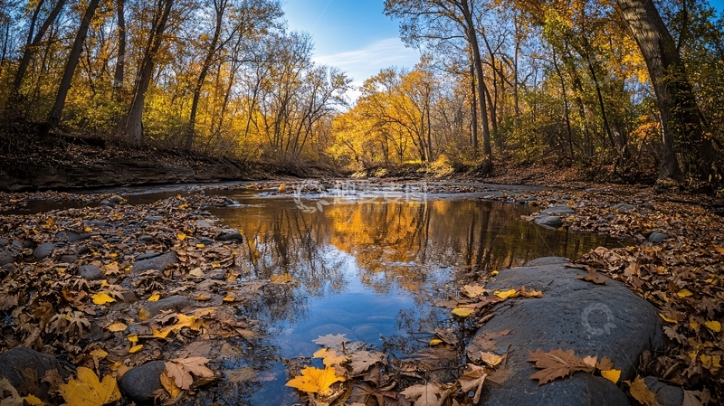 高清大图下载【趣麦麦图】落叶溪水倒影