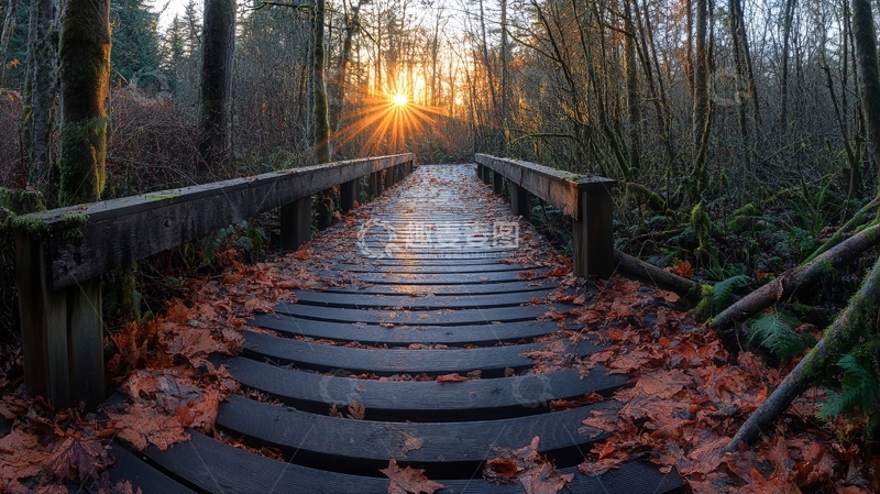 高清大图下载【趣麦麦图】阳光洒在小桥上