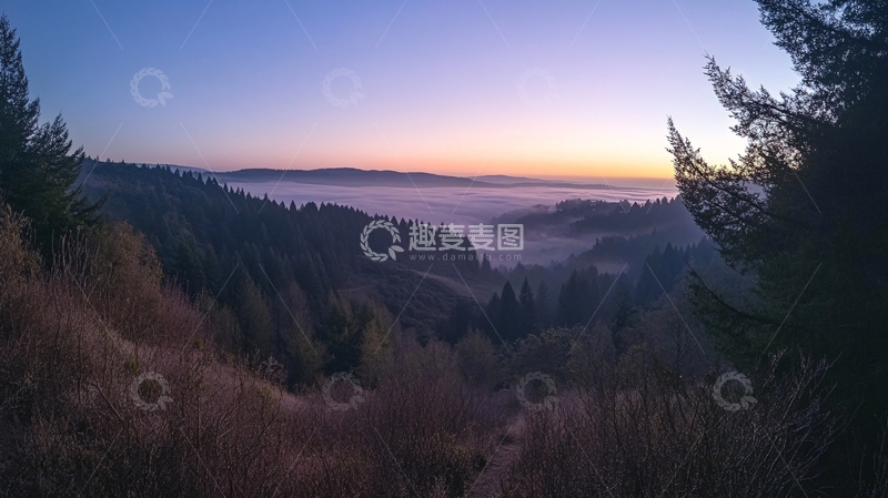 高清大图下载【趣麦麦图】晨雾中的山谷树影