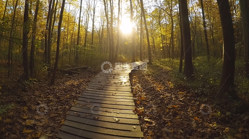 高清大图下载【趣麦麦图】深秋林中步道1