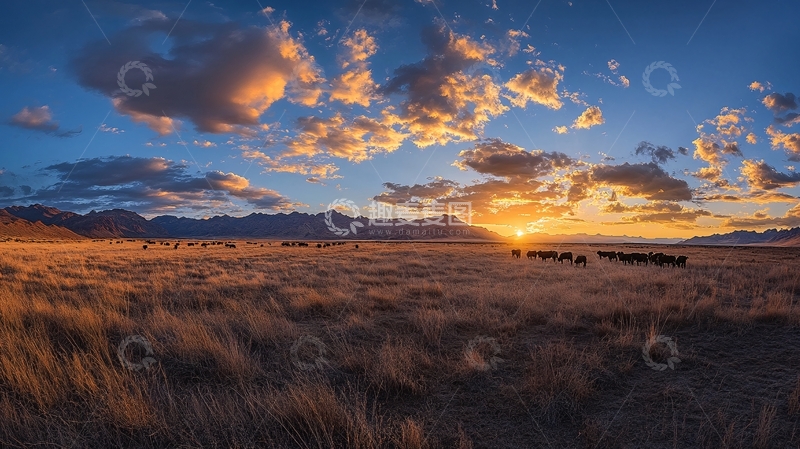 高清大图下载【趣麦麦图】驼光霞影