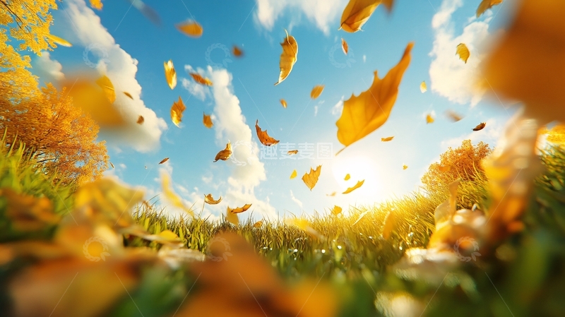 高清大图下载【趣麦麦图】3d秋
