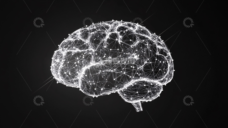 高清大图下载【趣麦麦图】大脑连接性3