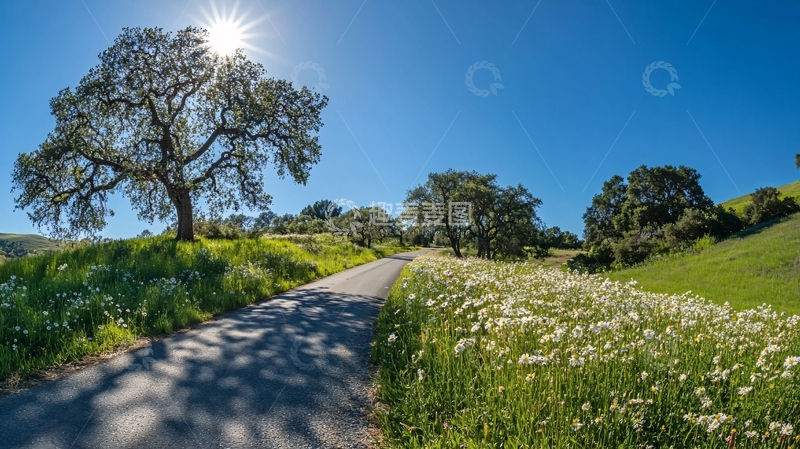 高清大图下载【趣麦麦图】阳光大树小路1