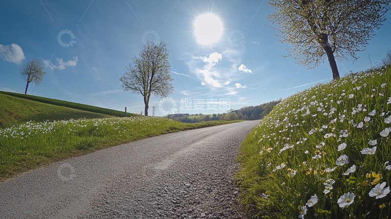 高清大图下载【趣麦麦图】唯美春风阳光14