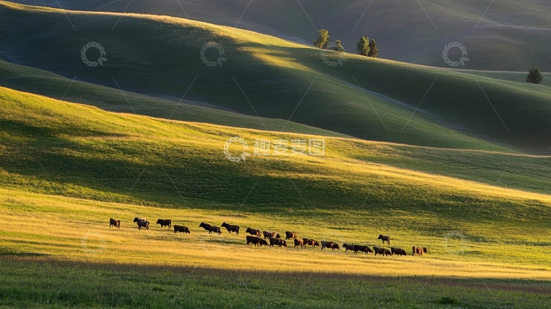 高清大图下载【趣麦麦图】江布拉克田园牧歌1