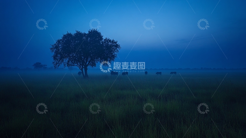 高清大图下载【趣麦麦图】草原暮色牛群