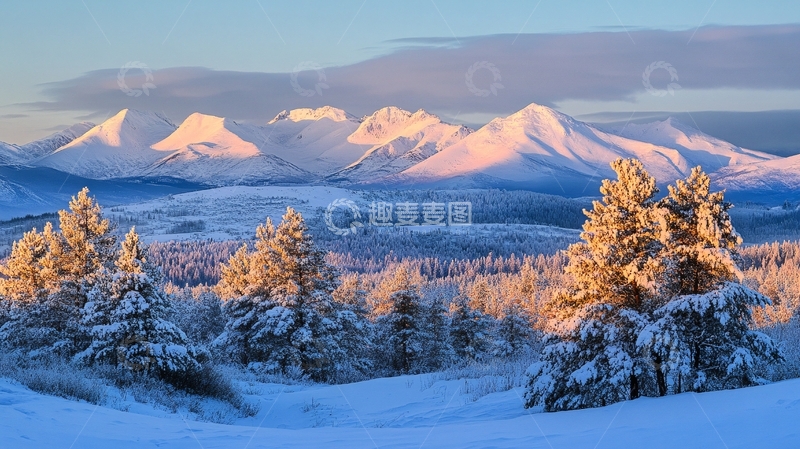 高清大图下载【趣麦麦图】自然风光雪岭云杉