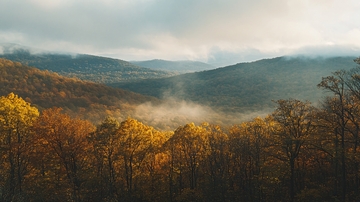 林场金秋山区云雾1