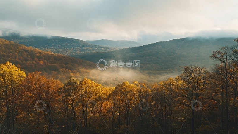 高清大图下载【趣麦麦图】林场金秋山区云雾1