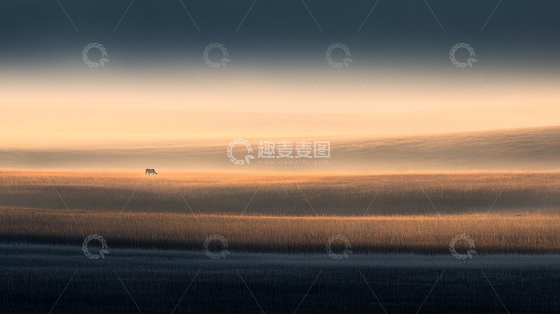 高清大图下载【趣麦麦图】小米壁纸4