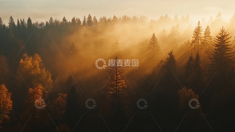 高清大图下载【趣麦麦图】森林晨雾朝霞
