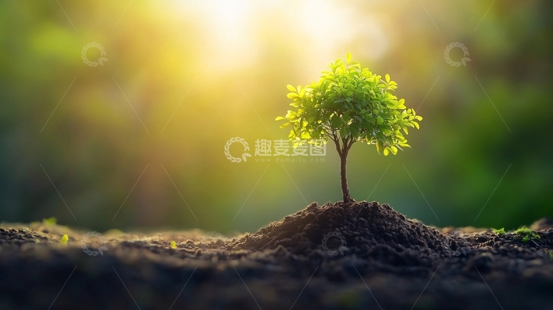 高清大图下载【趣麦麦图】萌发新生概念4