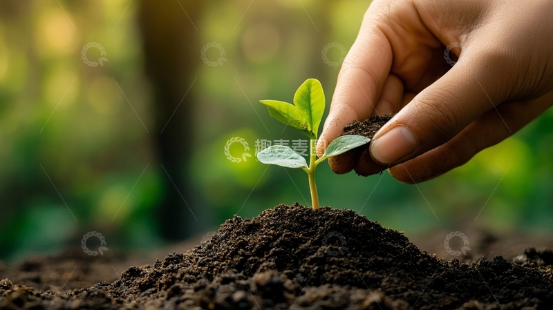 高清大图下载【趣麦麦图】萌发新生概念7