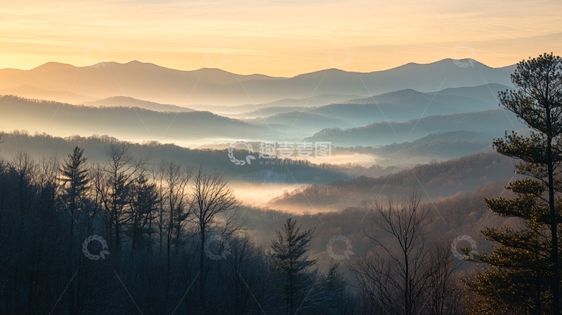 高清大图下载【趣麦麦图】林海斜阳