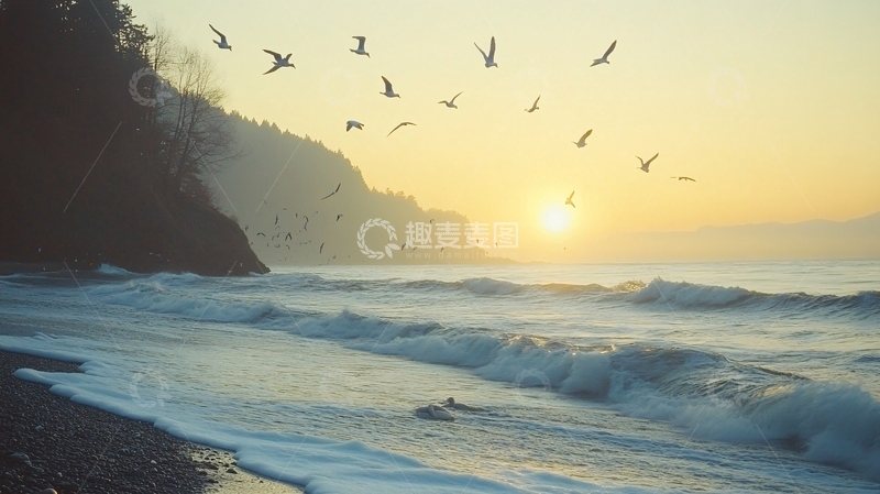 高清大图下载【趣麦麦图】日出与海鸥1