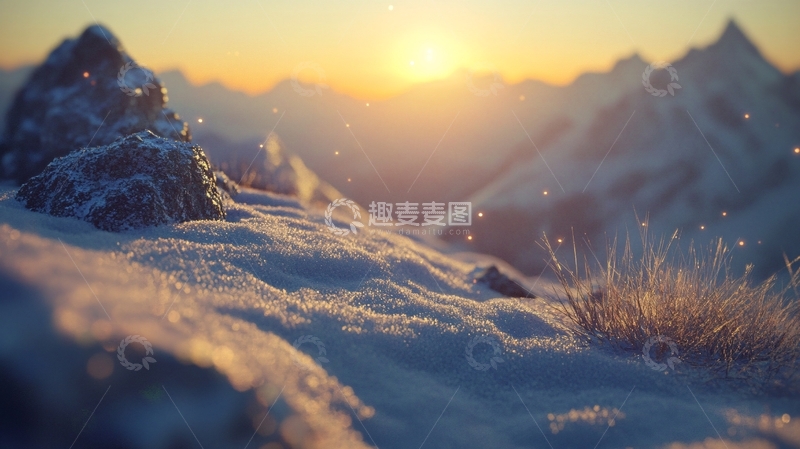 高清大图下载【趣麦麦图】雪地阳光太阳生长