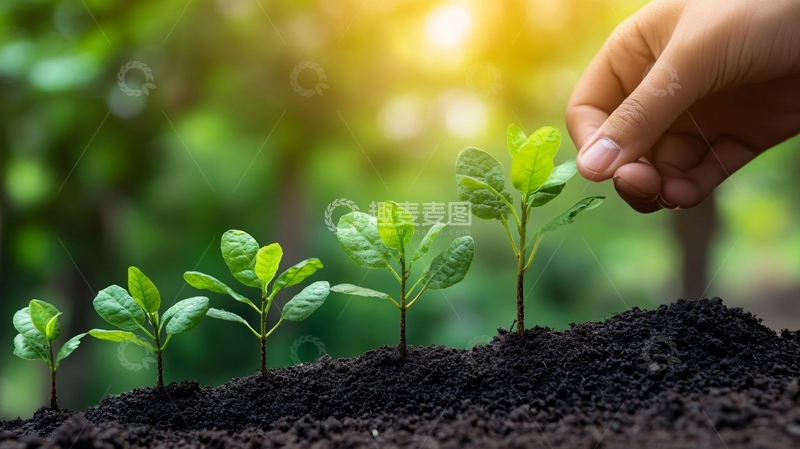 高清大图下载【趣麦麦图】萌发新生概念9