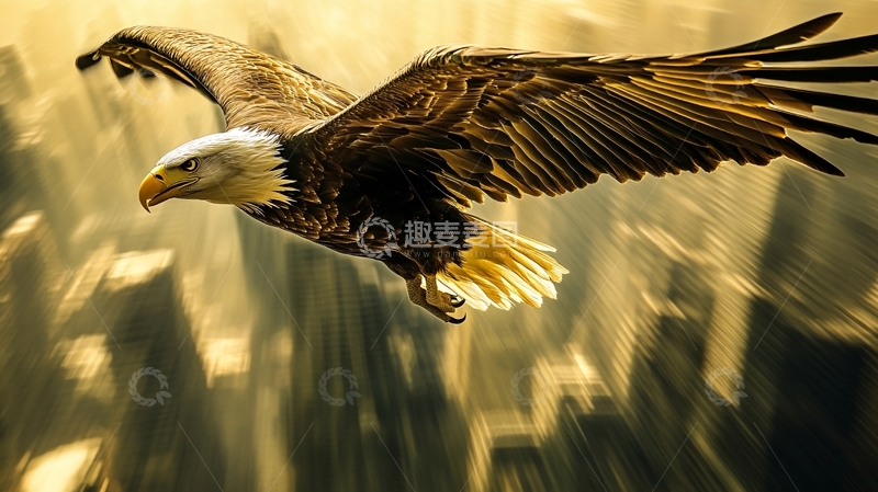 高清大图下载【趣麦麦图】展翅高飞背景1