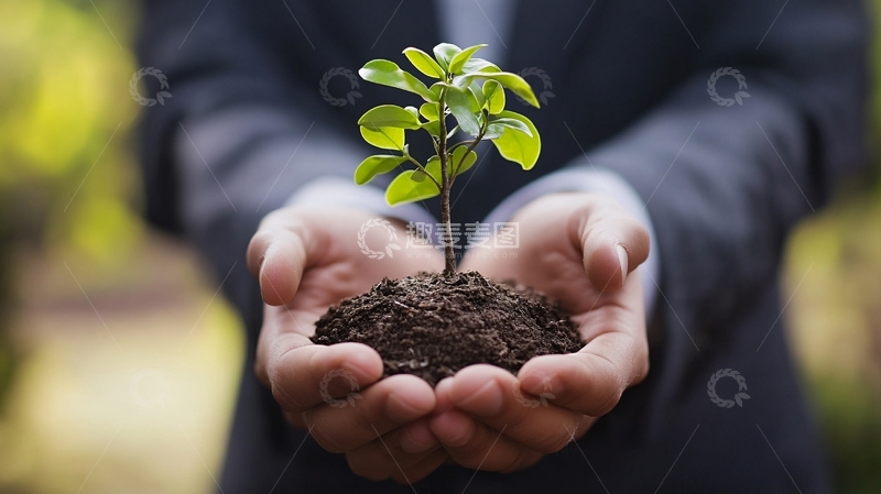 高清大图下载【趣麦麦图】领导手植树