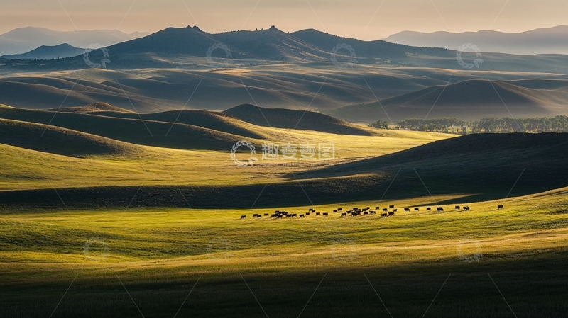 高清大图下载【趣麦麦图】草原晨曲