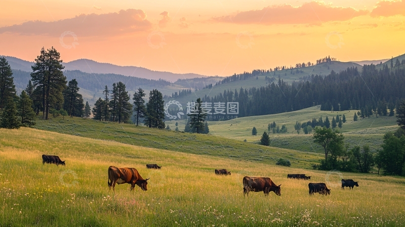 高清大图下载【趣麦麦图】高山牧场傍晚