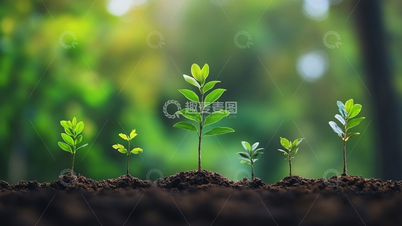 高清大图下载【趣麦麦图】萌发新生概念15