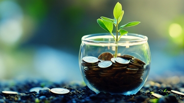 投资理财的培养1