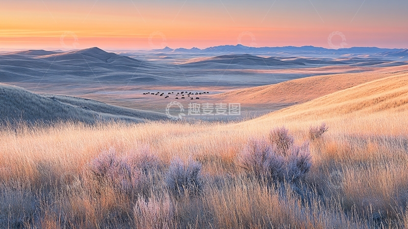 高清大图下载【趣麦麦图】草原秋日晨光