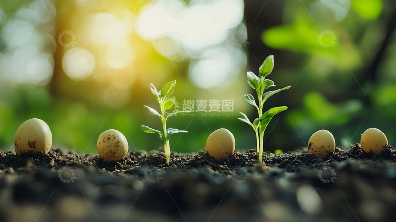 高清大图下载【趣麦麦图】萌发新生概念17