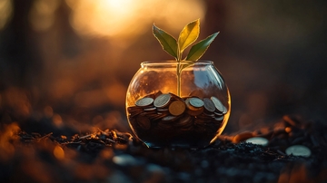 金币滋养生命10